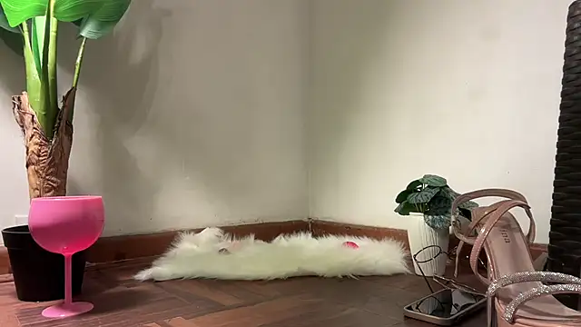 Snapshot of valeria_lokitasexy chatting on February 2, 2026, 3:16 am valeria lokitasexy online show from February 2, 2026, 3:16 am