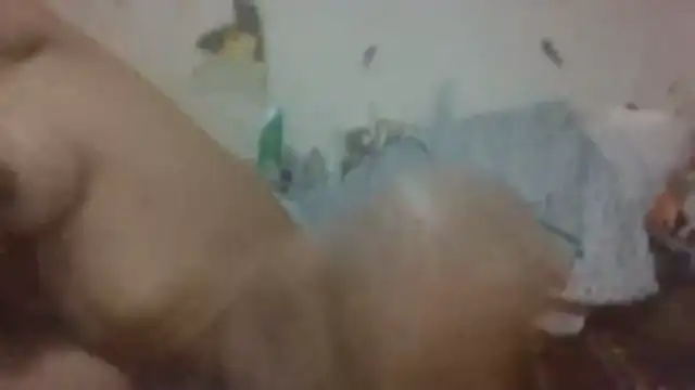 paradisejas online show from March 12, 2026, 2:54 pm