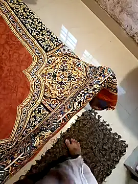 Mallu-Gayathri Arun online show from December 22, 2024, 10:49 am