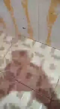 Sanjaymartin29 online show from December 7, 2024, 3:42 am