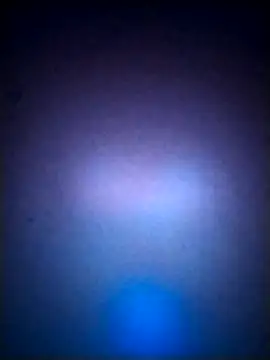 LissaThompsom online show from September 21, 2025, 2:55 pm