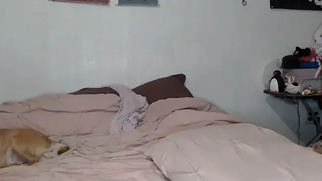 Cupcakecutie449 online show from November 9, 2025, 8:07 am