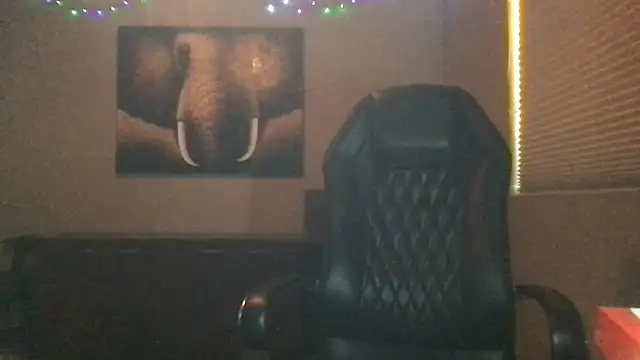 Snapshot of Bwcjoshbanks chatting on March 28, 2026, 9:38 pm Bwcjoshbanks online show from March 28, 2026, 9:38 pm