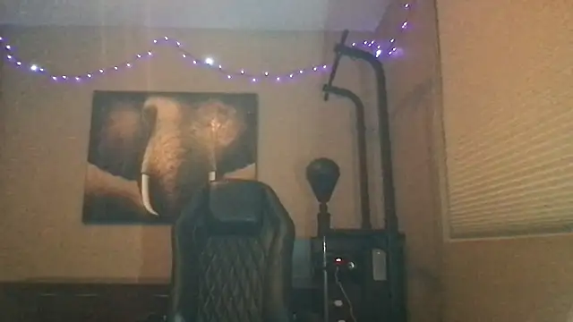 Bwcjoshbanks online show from May 18, 2026, 5:13 am