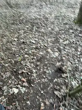 Aronn4 online show from February 3, 2025, 8:02 am