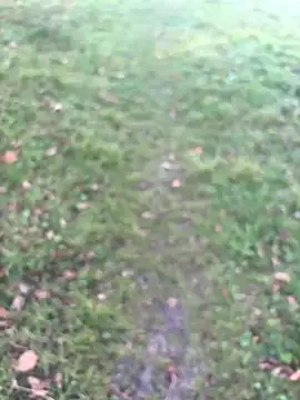 Aronn4 online show from October 22, 2025, 6:13 am