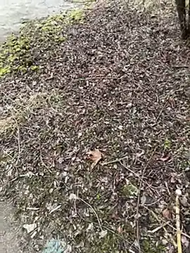 Aronn4 online show from January 21, 2025, 9:57 am