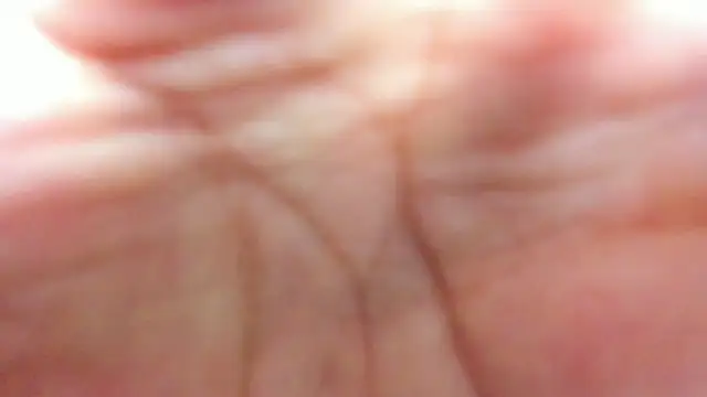 Snapshot of brutal_sex_room2 chatting on June 16, 2026, 1:00 pm brutal sex room2 online show from June 16, 2026, 1:00 pm