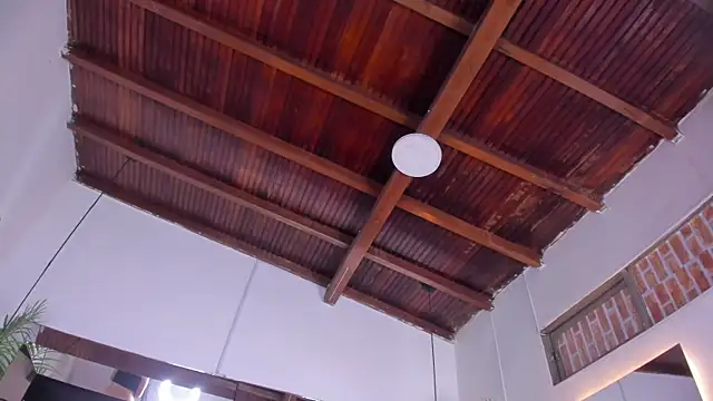 emily-fox online show from March 19, 2026, 11:10 am