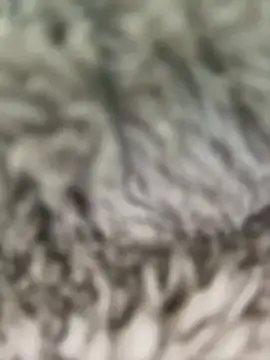 Hannagarces online show from February 26, 2026, 11:21 am