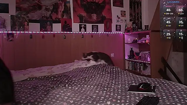 Snapshot of Hanako_Jentoru chatting on February 7, 2026, 2:47 pm Hanako Jentoru online show from February 7, 2026, 2:47 pm