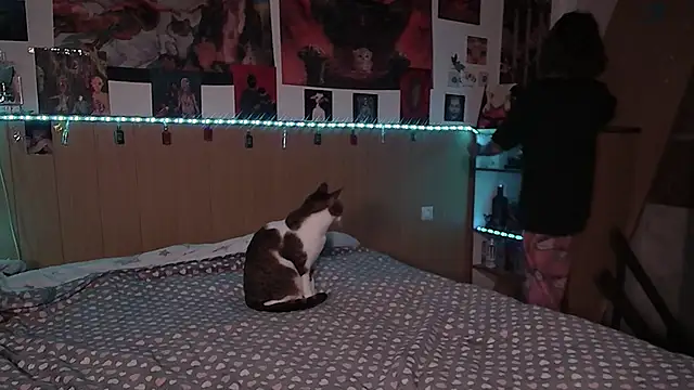 Snapshot of Hanako_Jentoru chatting on February 9, 2026, 6:17 pm Hanako Jentoru online show from February 9, 2026, 6:17 pm