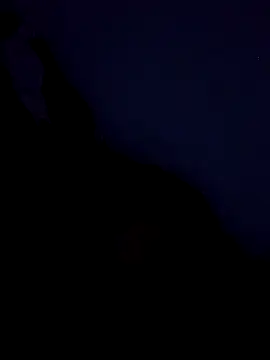 Snapshot of stefanie010 chatting on March 19, 2026, 11:43 am stefanie010 online show from March 19, 2026, 11:43 am