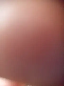 Snapshot of poloplayer123 chatting on February 13, 2026, 1:44 pm poloplayer123 online show from February 13, 2026, 1:44 pm