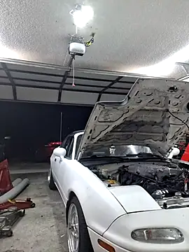 John19893 online show from February 14, 2025, 1:13 am