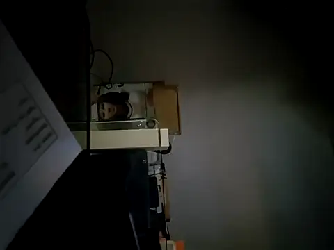 Snapshot of StiveMartin chatting on November 17, 2025, 2:26 am StiveMartin online show from November 17, 2025, 2:26 am