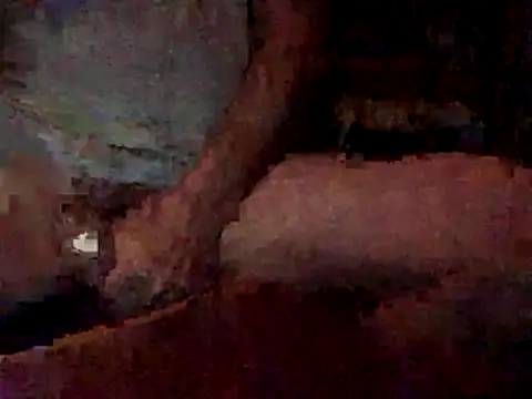 Snapshot of Nodsride chatting on December 22, 2025, 3:39 am Nodsride online show from December 22, 2025, 3:39 am