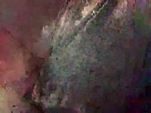 Snapshot of Nodsride chatting on February 7, 2026, 12:57 pm Nodsride online show from February 7, 2026, 12:57 pm