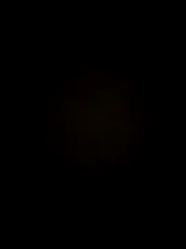 walper online show from March 23, 2026, 2:06 pm