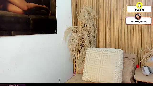 sofhiaa adaams online show from February 20, 2026, 10:44 pm