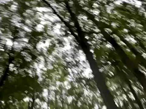 lookin4excitement23 online show from September 10, 2025, 10:20 pm