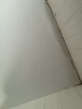 Snapshot of elninoblacko chatting on February 8, 2026, 3:10 pm elninoblacko online show from February 8, 2026, 3:10 pm