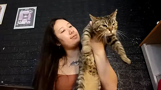 Japabaixinha online show from November 18, 2025, 11:13 am