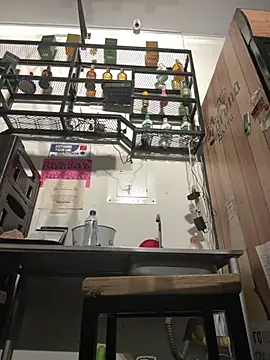 pamell col online show from December 6, 2024, 11:41 pm