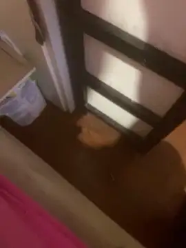 gigetto1977 online show from March 28, 2026, 6:20 pm