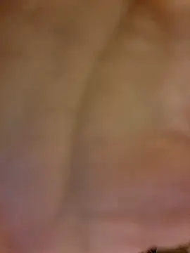 Snapshot of Gros-tuyau-93 chatting on March 13, 2026, 11:59 am Gros-tuyau-93 online show from March 13, 2026, 11:59 am