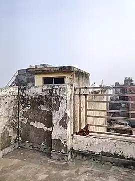  Redwine  online show from December 19, 2025, 6:05 am