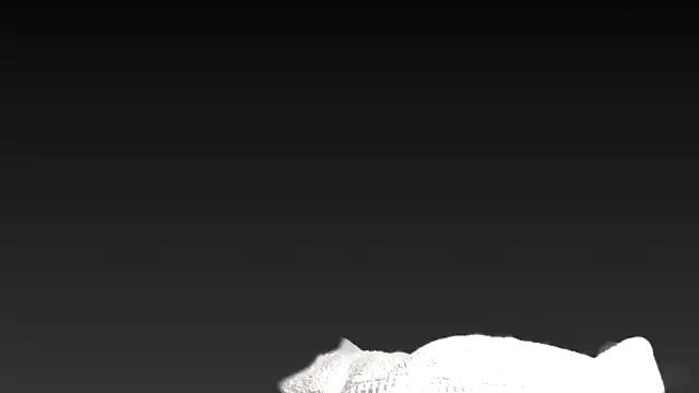 juanpalmox online show from November 25, 2025, 8:31 pm