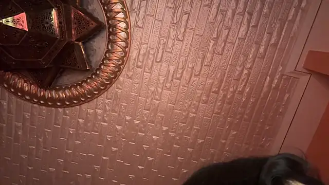 Snapshot of ORLA86 chatting on March 8, 2025, 10:56 pm ORLA86 online show from March 8, 2025, 10:56 pm