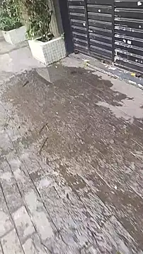 UncutToyBoy23cm online show from March 13, 2025, 2:01 pm