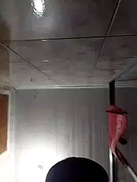 Adee21e online show from November 17, 2025, 8:46 pm