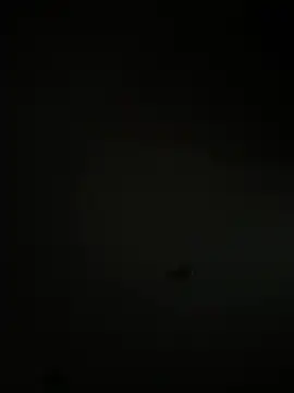 Kylie2211 online show from March 22, 2025, 10:06 am