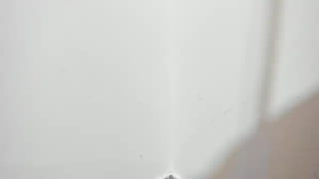 Snapshot of Kylie2211 chatting on February 26, 2026, 12:43 am Kylie2211 online show from February 26, 2026, 12:43 am