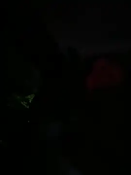 Brunettexio online show from March 13, 2025, 12:16 am