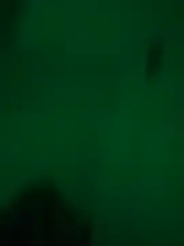 greedybratt online show from December 23, 2024, 5:39 am