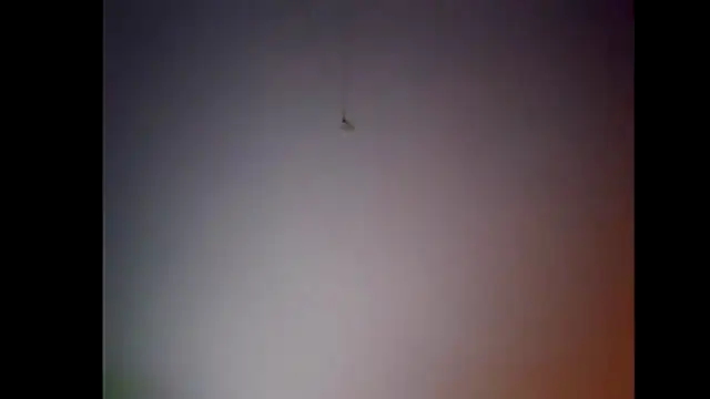 Snapshot of Pegg-fist-me chatting on November 28, 2025, 12:00 am Pegg-fist-me online show from November 28, 2025, 12:00 am