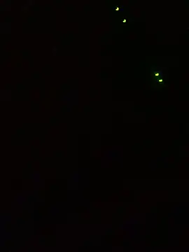 ClatteryPrexy online show from March 15, 2025, 6:03 am