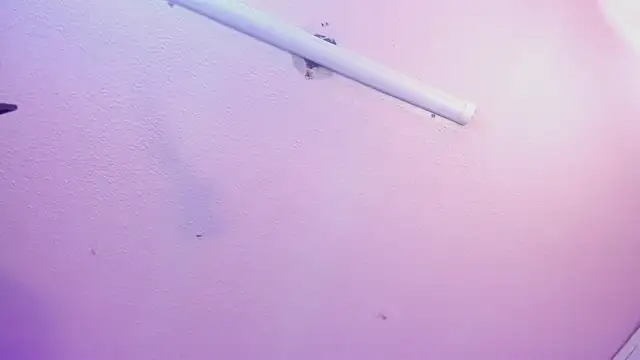 Red lady online show from January 15, 2026, 3:43 am