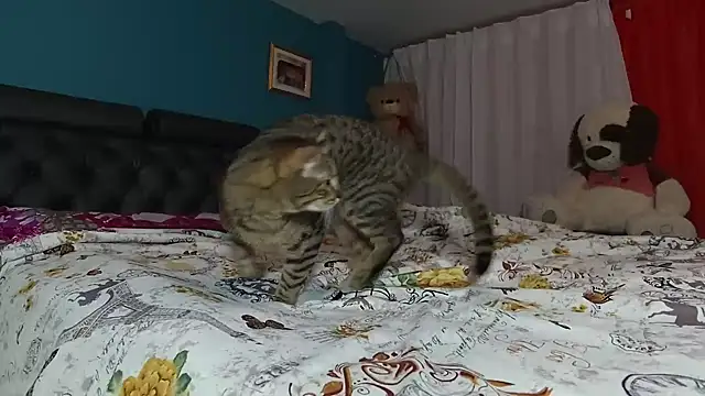 Snapshot of valen1580 chatting on February 13, 2025, 5:48 am valen1580 online show from February 13, 2025, 5:48 am