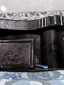 Snapshot of toxicboy121212 chatting on September 8, 2025, 4:39 pm toxicboy121212 online show from September 8, 2025, 4:39 pm