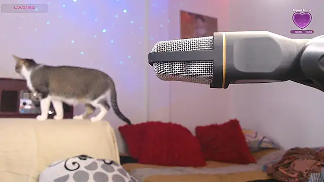 Marci owo online show from September 27, 2025, 8:15 pm