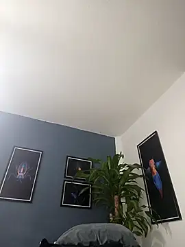 SilvaBranko online show from December 19, 2025, 2:04 am