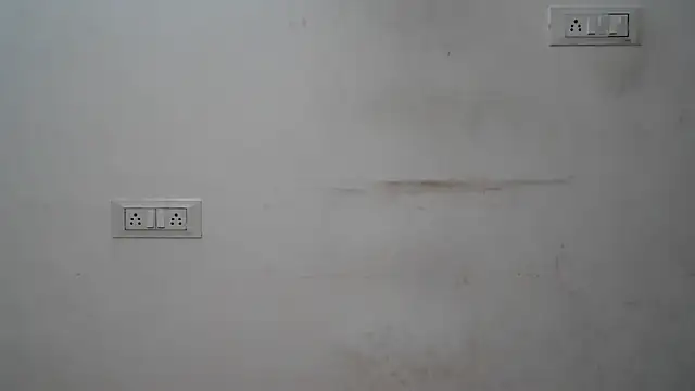 Suzie darling online show from January 7, 2025, 1:59 am