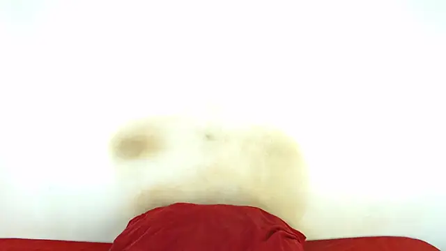 FAT ASS27 online show from February 8, 2026, 12:52 am