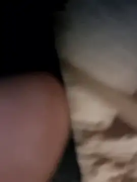 Armyexhibitionistvet online show from January 11, 2026, 3:30 pm