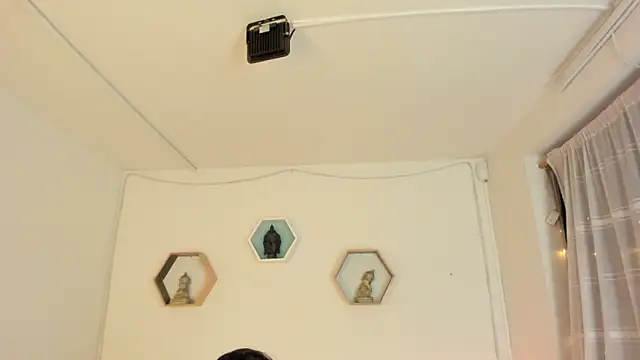 Paloma victory online show from November 15, 2025, 9:30 pm